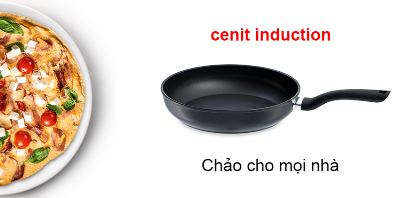 Chảo rán Fissler Cenit 20cm made in Italya